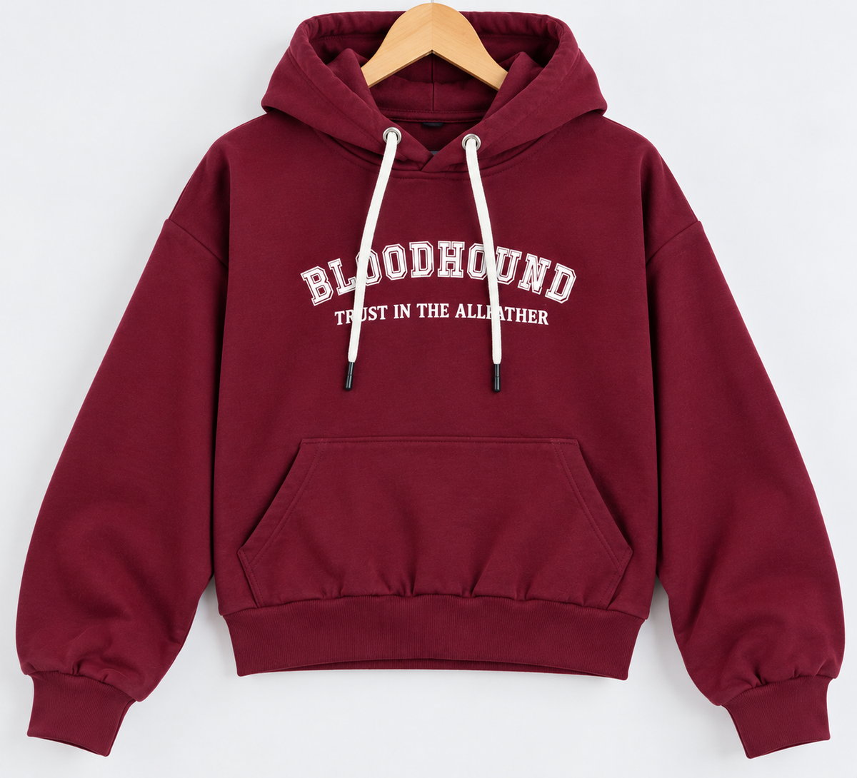 Bloodhound Graphic Cropped Printed Hoodie Maroon