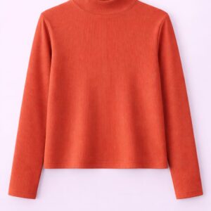 Mock neck top full sleeves